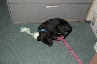 Picture 002