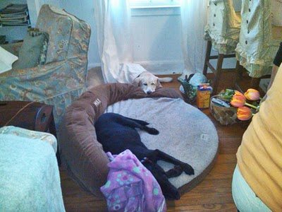 tuckered out models