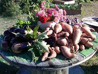 Tybee Community Garden
