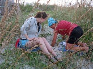 Thanks to the Tybee Sea Turtle Project Facebook Page Thanks to the Tybee Sea Turtle Project Facebook Page