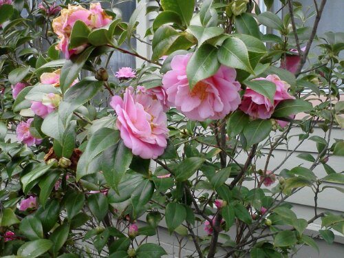 0221121044.jpg image