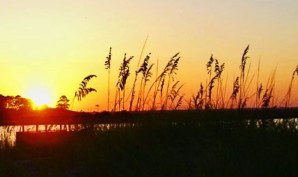 Tybee Island Sunset by Lee Penrod