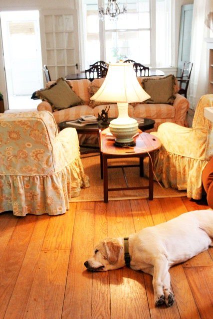 Heart of Pine Floors and Danny Mermaid Cottages Animal Blessings