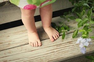 Folds & Ghiloni photo of Baby Scout