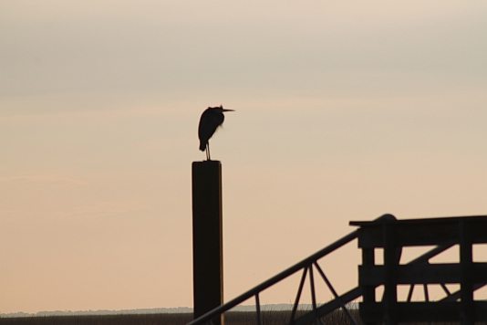 Hot Mini Mermaid Getaways