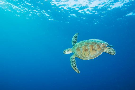 Thanks to ImageSource