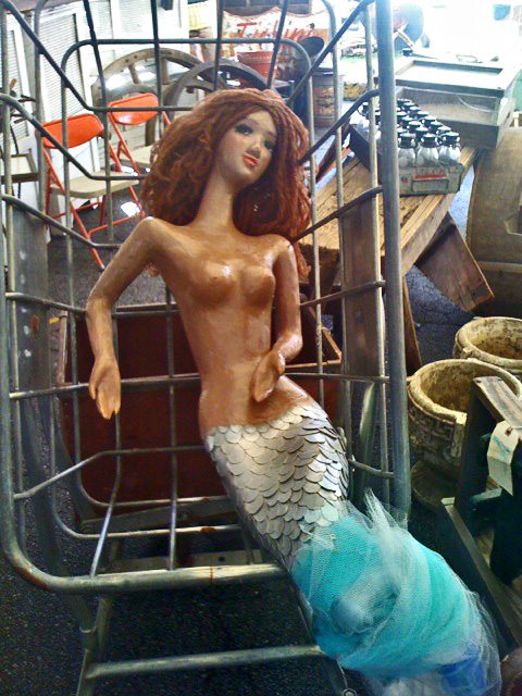 Mary Kay's Mermaid Sighting