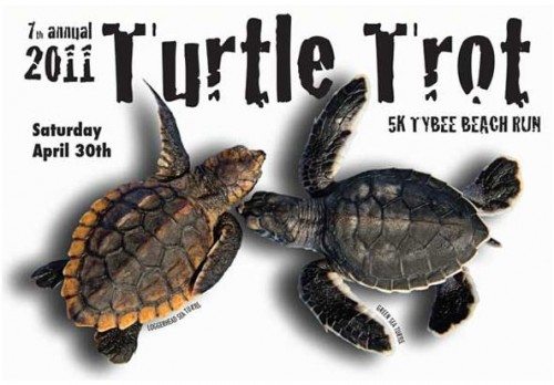 2011 Tybee Turtle Trot
