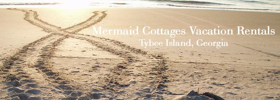 mermaidcottageblogheader_02_edited-2
