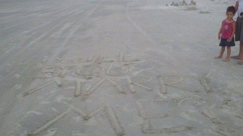 tb29 David Riddle proposal