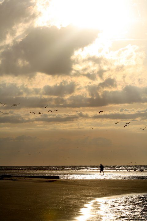 Tybee beach walk by Willa Johnson