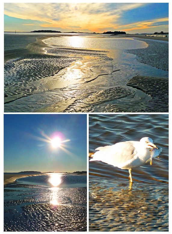 tybee-december2011-margocook