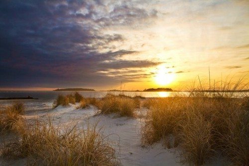 168771_10150145509270281_218288410280_8525967_1879835_n