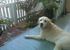 danny_madeintheshade