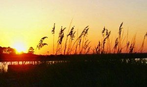 Tybee Sunset by Lee Penrod