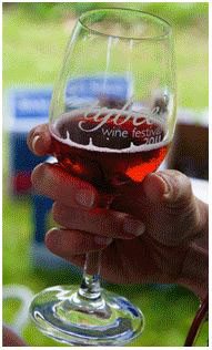 winefeststoryboard-tybeewinefest-dot-com copy 3