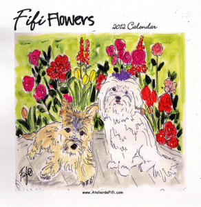 Beach Bum Biscuits/mermaidcottages.com