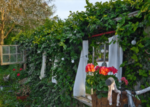 Clean and Green: Mermaids Love To Make Things Shine