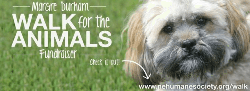 Margre Durham Walk For the Animals Mermaid Cottages Cosmo-pawlitan: Walk For The Animals