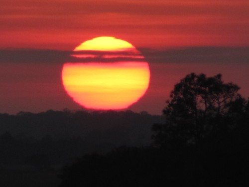labor day with the mermaids