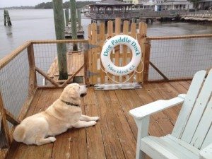 pet friendly cottages
