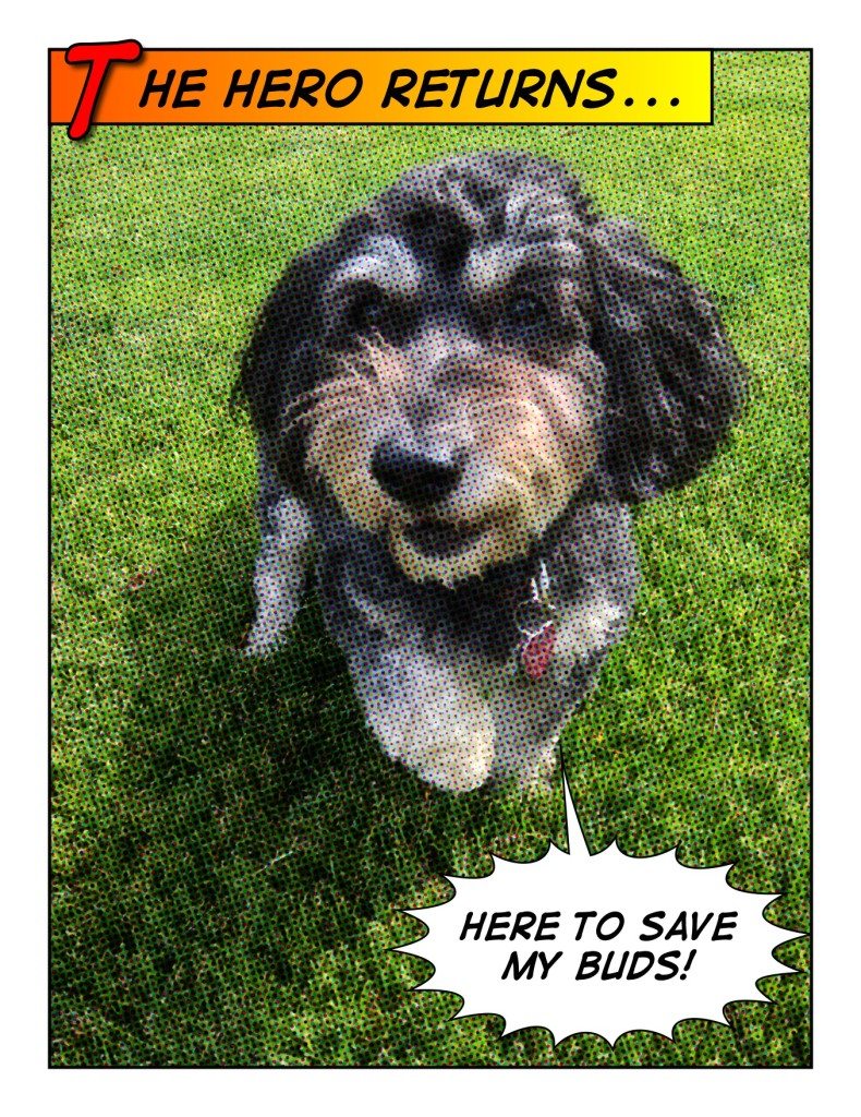 Cosmo's Puting On The Dog Again