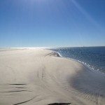 Little Tybee photo by Carol Martin