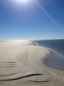 Little Tybee photo by Carol Martin