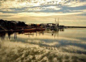 Hot Mini Mermaid Getaways