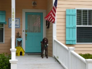 Hershey standing post at Paws & Paddles Cottage