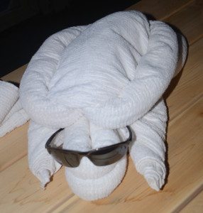 Look at this cool turtle!