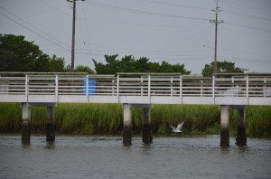 Lazaretto Creek Fishing Pier