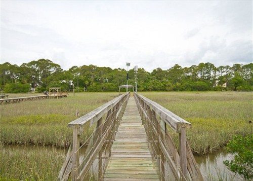 tybee under the stars