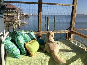 enjoy Tybee's back side