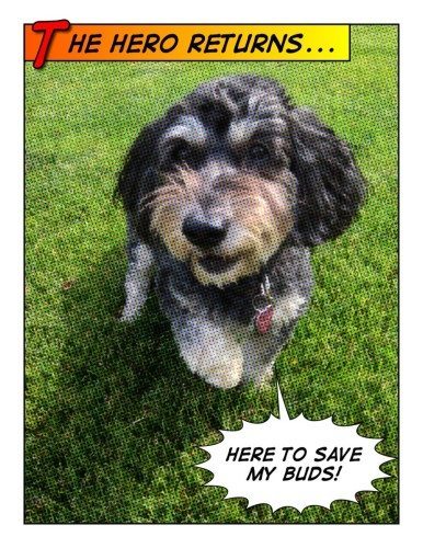 mermaids make a difference: donate to Cosmo