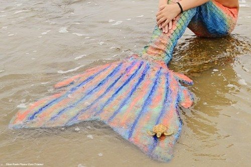 a little mermaid