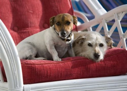 grab your wiener and head down for Oktoberfest