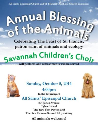 tybee island's animal blessing