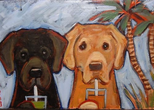 tybee island's blessing of the animals