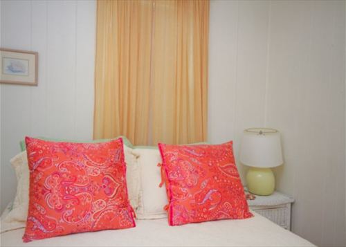 tybee island's blessing of the animals