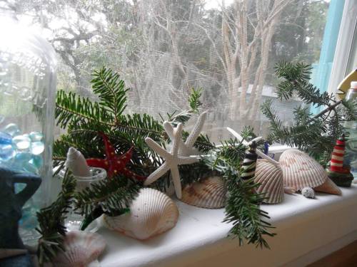 shopping tybee's winter wonderland