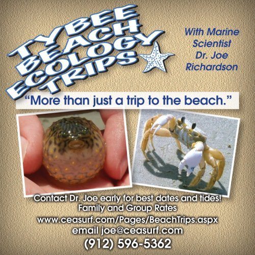 tybee island's best stocking stuffers
