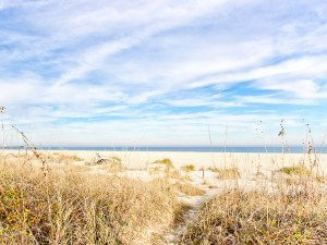 revisiting an old love in tybee island
