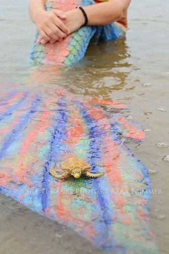 which one is your tybee