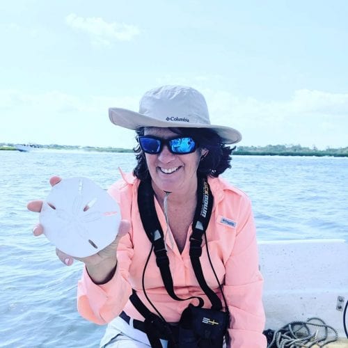 get schooled on tybee island sand dollars