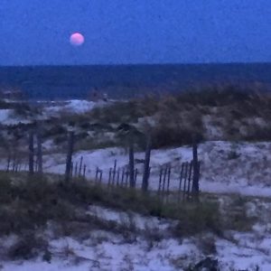 mermaid cottages' solar eclipse 2017 special