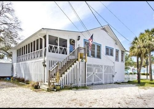 tybee island is a pet friendly paradise