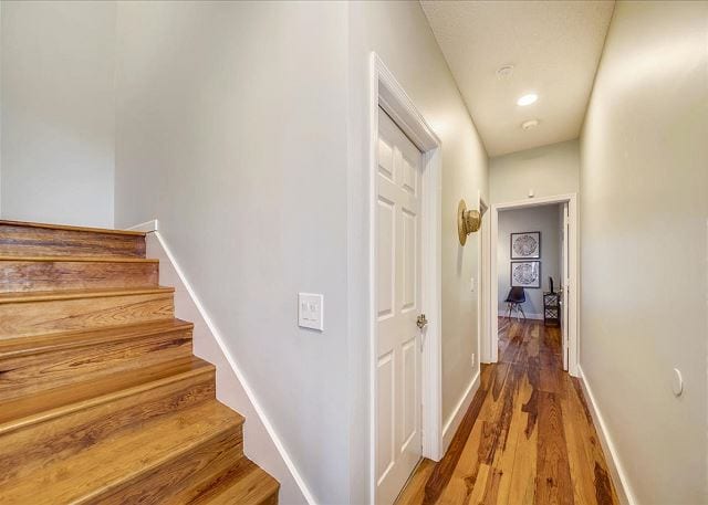 new wood floors at marsh mermaid