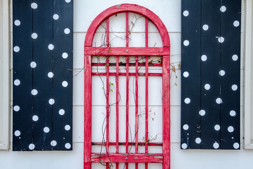 how cute are these polka dotted shutters