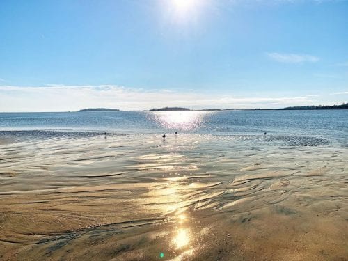 tybee island view by cindi dunn